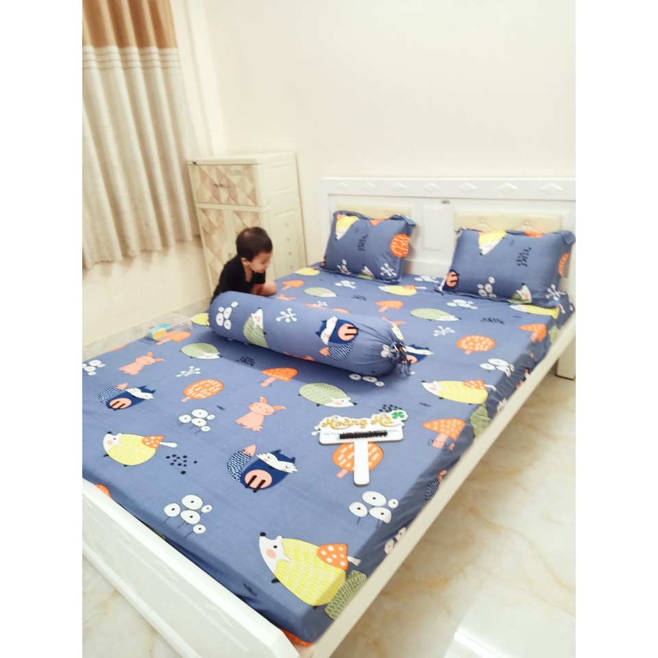 Drap thun Hàn quốc đủ size