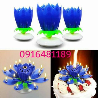 Nến 3D sinh nhật xòe hoa phát nhạc