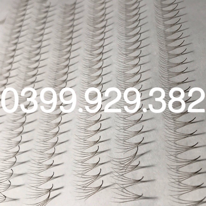 Mi fan nâu 5D 1000 fan