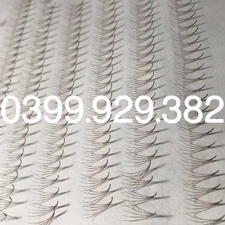 Mi fan nâu 5d 1000 fan