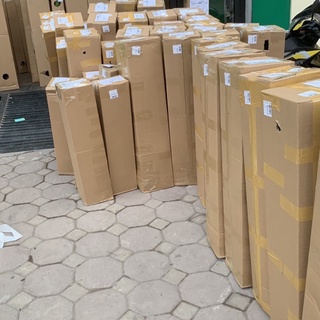 Cây giống Lê vàng