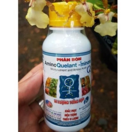 Phân bón lá vi lượng tổng hợp AMINO QUELANT MINORS khắc phục hiện tượng thiếu vi lượng chai 100ml