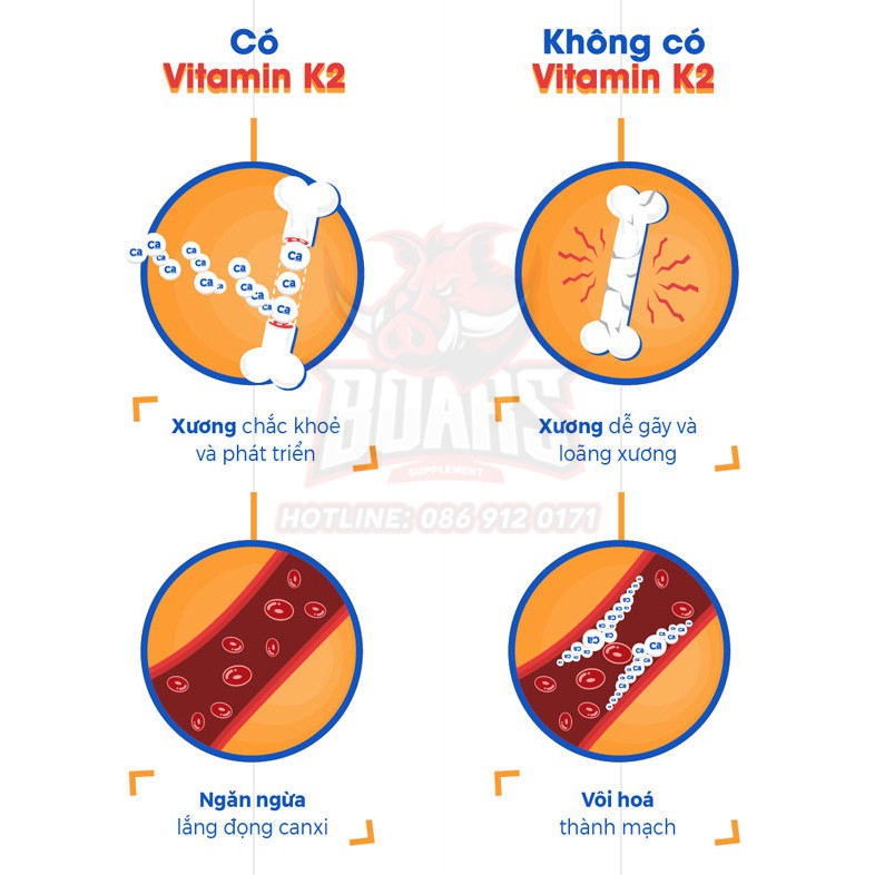 OSTROVIT K2 MK7 NATTO- Viên Bổ Sung Vitamin K2 200mg Giúp Săn Chắc Xương Khớp, Tổng Hợp Canxi hiệu quả (90 VIÊN)