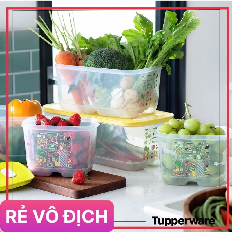 Tupperware &lt;3 Bộ hộp trữ mát Ventsmart Tupperware (5 hộp)