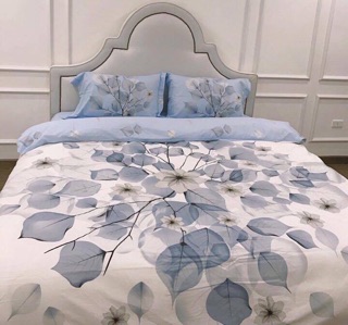 Set chăn ga gối cotton lụa nhật bản