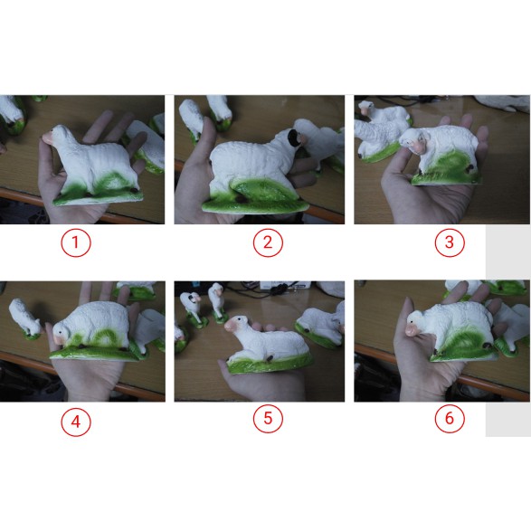 Cừu nhỏ Thạch Cao