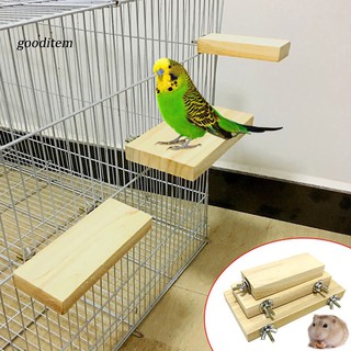 Bệ đứng bằng chất liệu gỗ gắn trang trí lồng chim vẹt