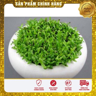 Bộ 2 gói hạt giống cỏ may mắn