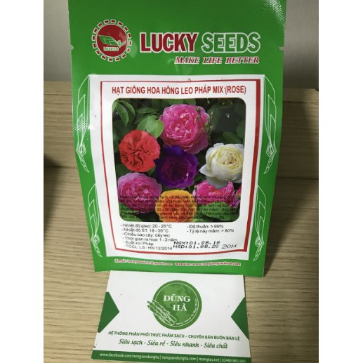 Hạt giống hoa hồng leo  mix gói 20 hạt