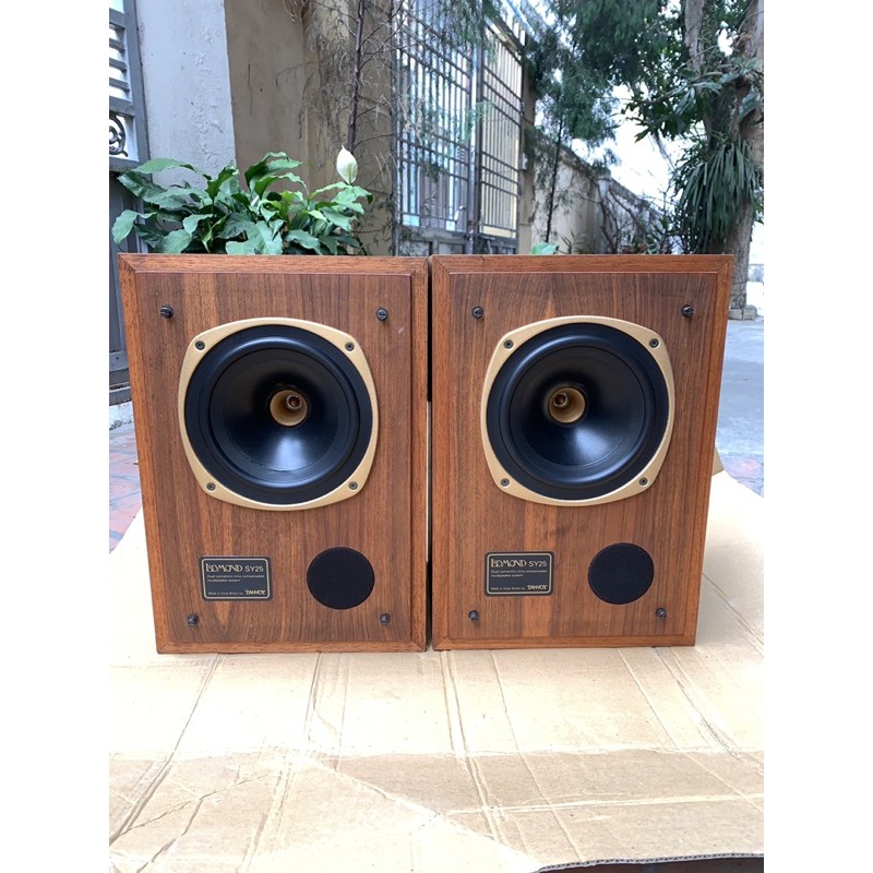 Loa tannoy SY25