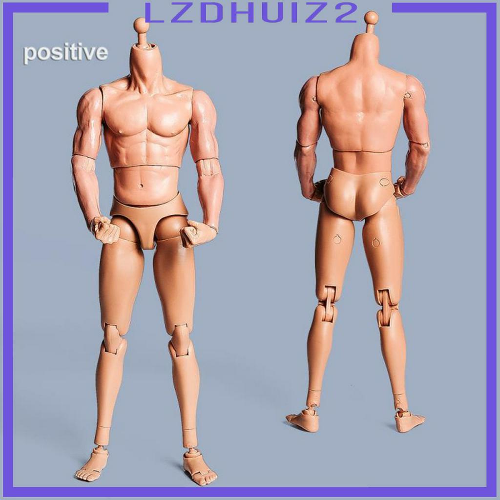 Mô Hình Cơ Thể Nam Tỉ Lệ 1 / 6