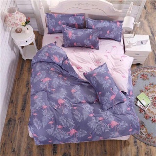 Set cotton poly nhập khẩu