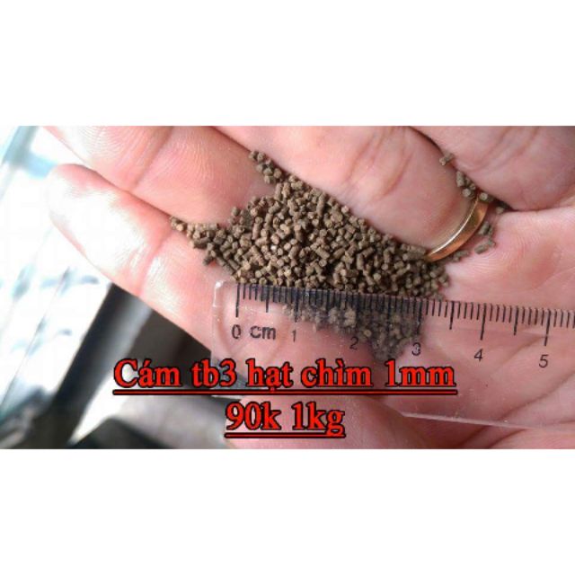 Cám tomboy TB3 hạt sz 1mm 1kg Hà Nội