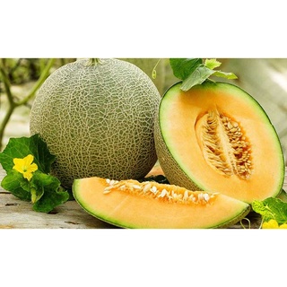 🍈20H - HẠT GIỐNG DƯA LƯỚI (DỄ TRỒNG)🍈