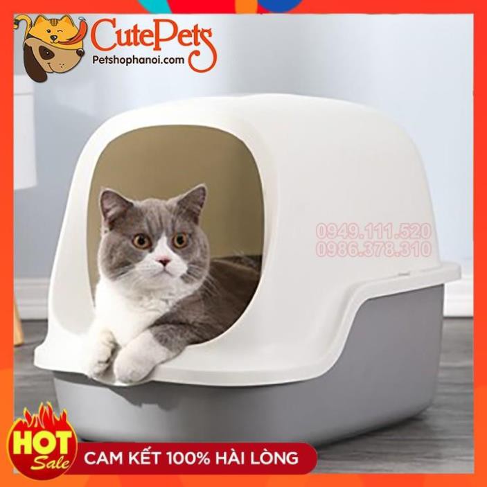 Nhà vệ sinh mèo nắp vỏ sò - phụ kiện thú cưng Hà Nội