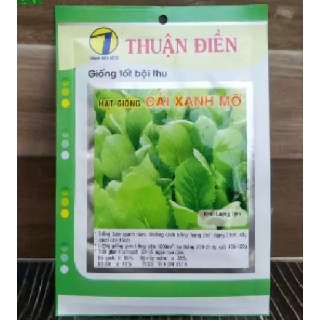 Hạt giống cải xanh mỡ Thuận Điền