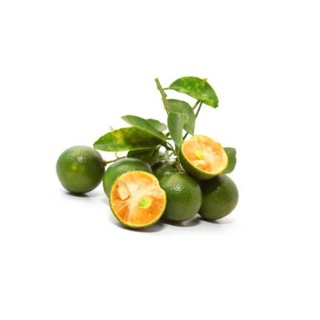 Tắc Đà Lạt tươi ngon xanh sạch