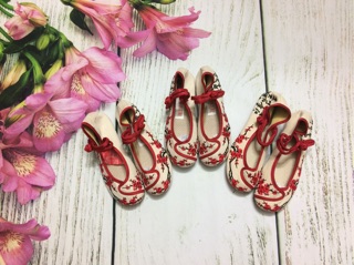 Giày vải thêu( có sẵn size 35,36,37,38)