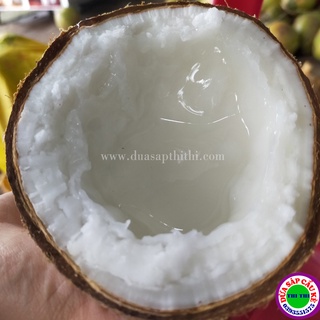 Dừa sáp loại 2