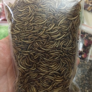 Sâu rang bơ