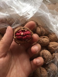 Quả óc chó mỹ nhân đỏ 1kg