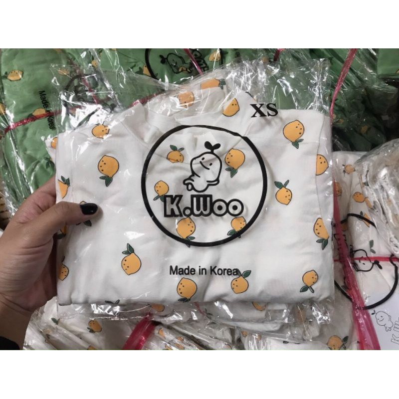 Bộ kwoo trái cây siêu cute cho bé 6-16kg
