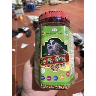 CÁM CHIM CU GÁY VƯƠNG VIỆT ANH