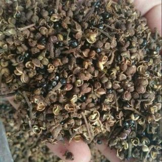 1 lạng Mắc Khén Gia Vị núi rừng Tây Bắc