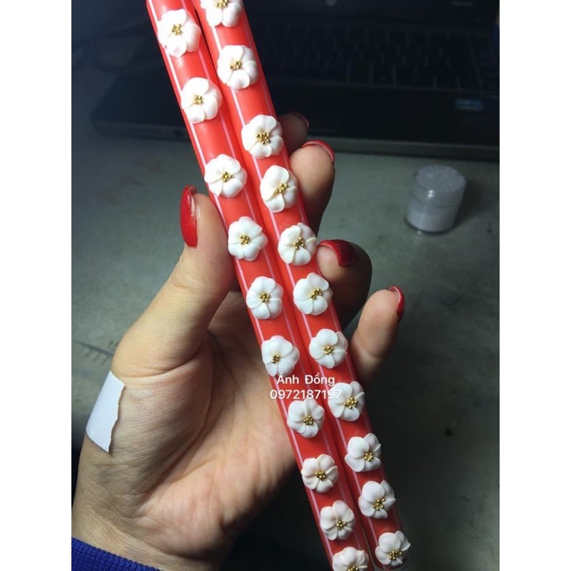 Khuôn hoa bột nail