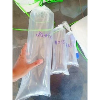 BỊCH NYLON ĐÓNG CÁ KÍCH THƯỚC  ( 8x31 ,11x35, 20x60 )