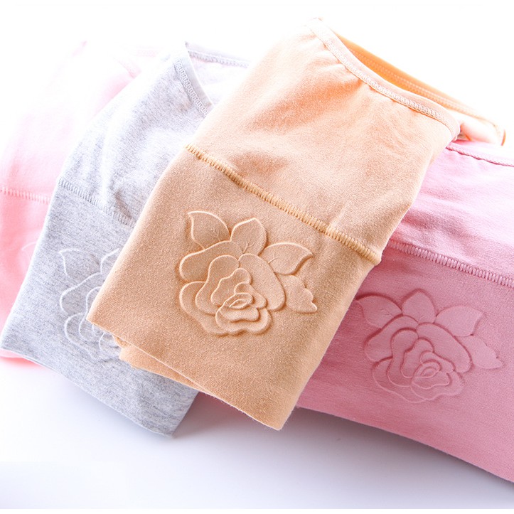 Quần Lót Nữ Cotton Cạp Cao Hoa Nổi Xuất Hàn ( QL : 233 ) Hàng Loại Đẹp.