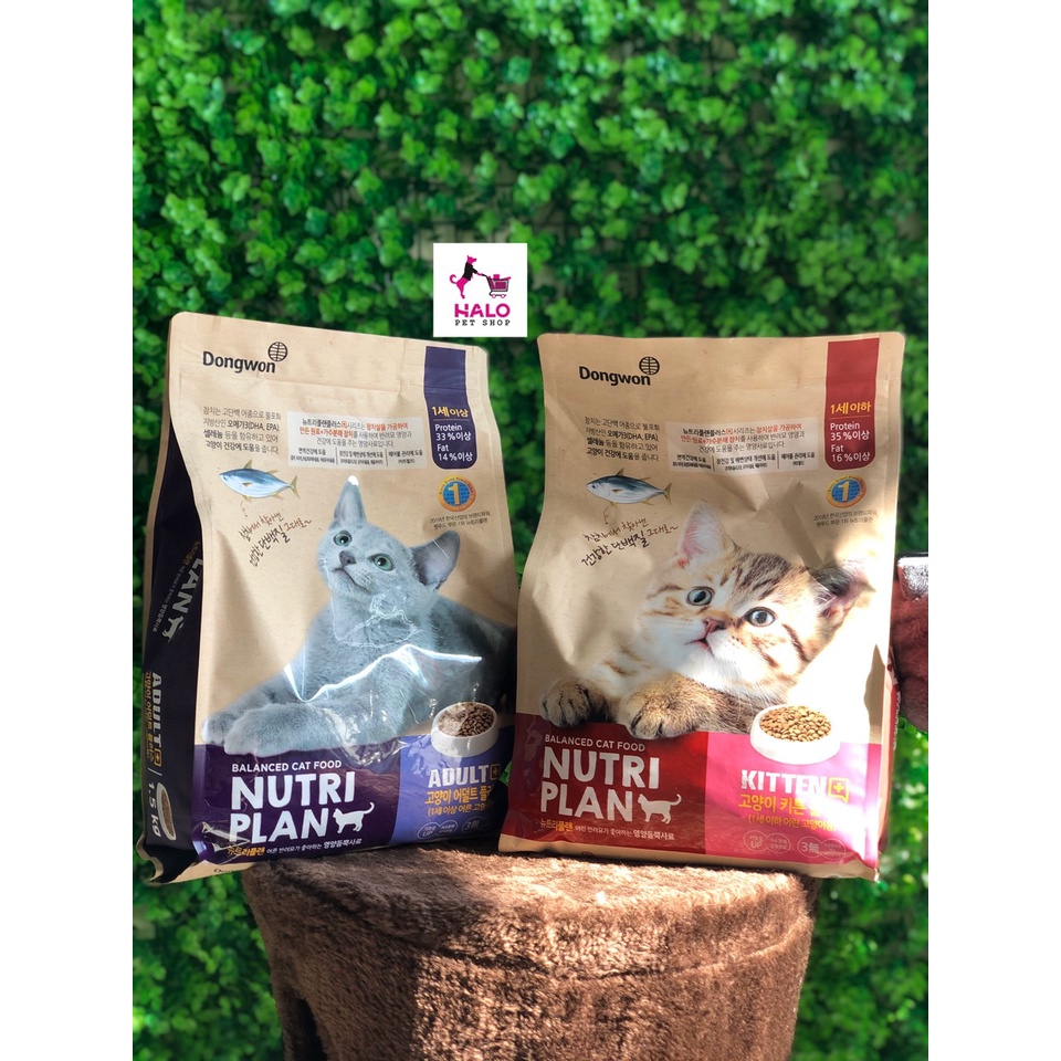 Hạt Nutri Plan All-Stage cho mèo mọi lứa tuổi (Nutriplan)