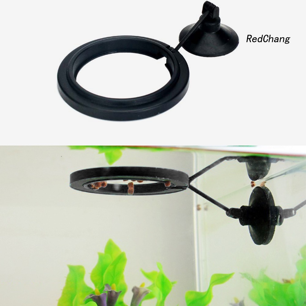 Fish Tank Floating Food Feeder Buoyancy Ring Suction Cup Pool Feeding Tool