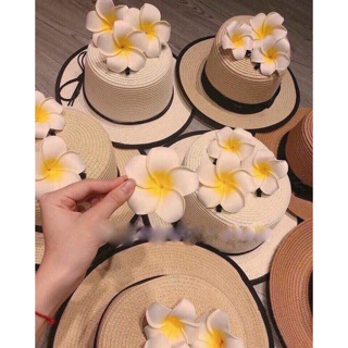 (tổng kho móng cái) (tổng kho lạng sơn) HOA ĐẠI CÀI TÓC ĐI BIỂN