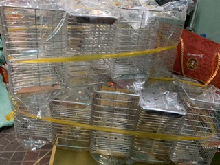 ỐNG ĐỂ ĐŨA MUỖNG INOX ĐÔI