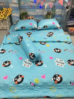 TRỌN BỘ DRAP MỀN COTTON POLLY