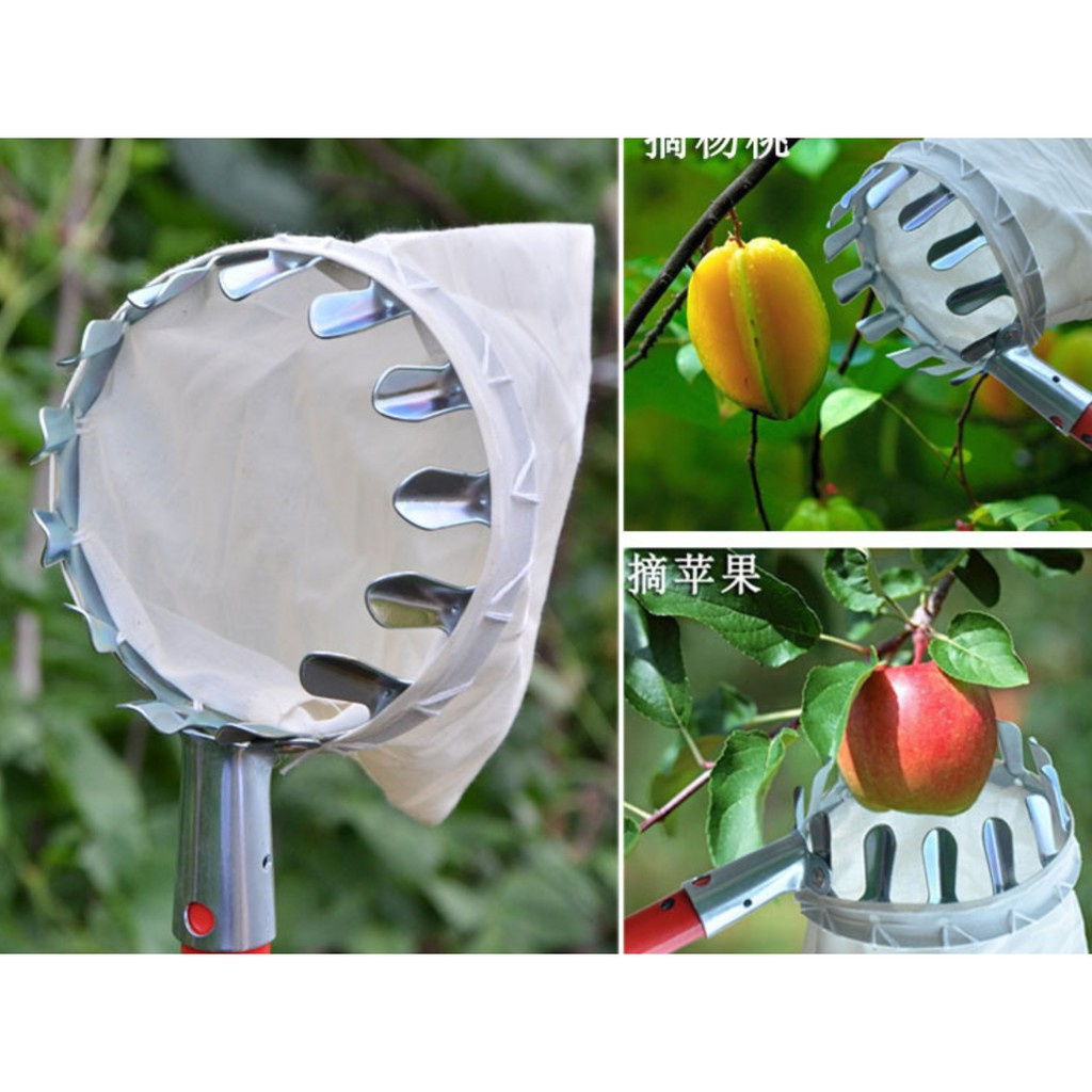 [HÀNG CÓ SẴN] Dụng cụ hái quả, hái trái cây đa năng