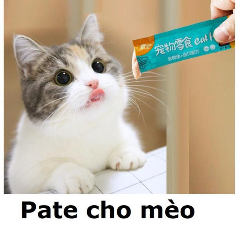 STHA- (Lẻ 1) Pate Thanh Cat food &amp; Ciao dạng Gel cho thức ăn dạng ướt cho mèo đồ ăn vặt mèo snack súp thưởng