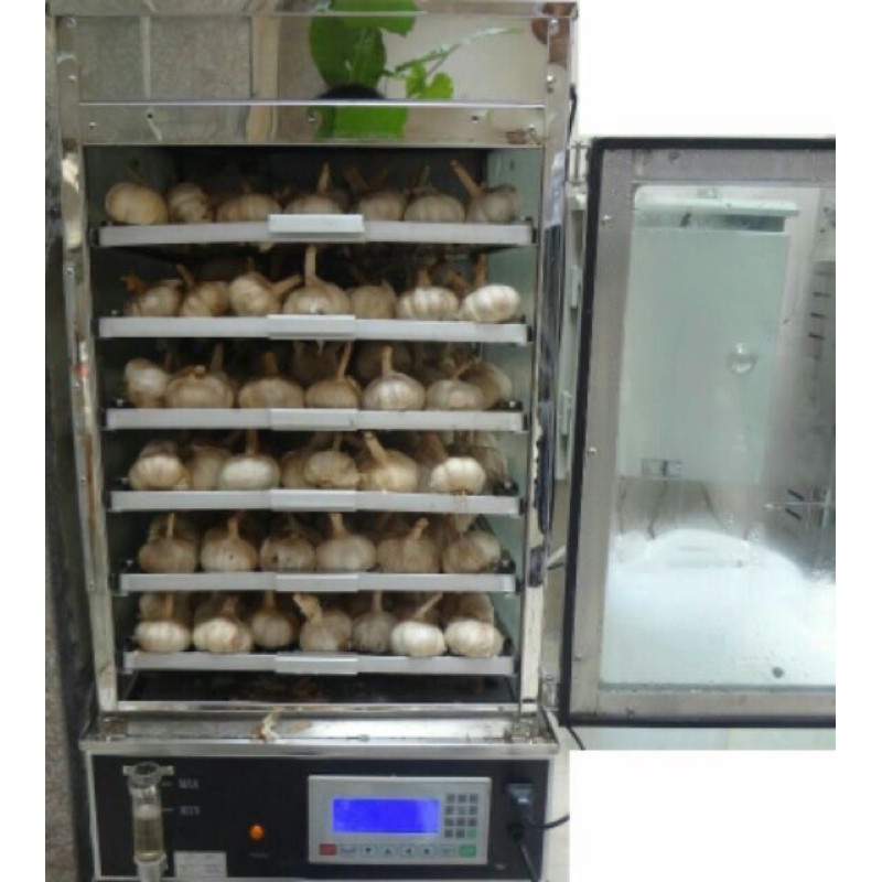 [300g]Tỏi đen cô đơn một nhánh hữu cơ Ngọc mầm handmade | BigBuy360 - bigbuy360.vn