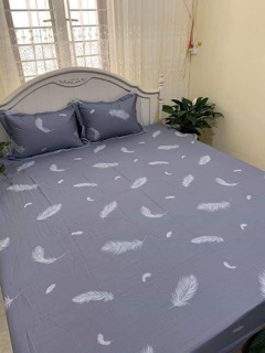 Sét ga gối cotton Hàn m6*2m