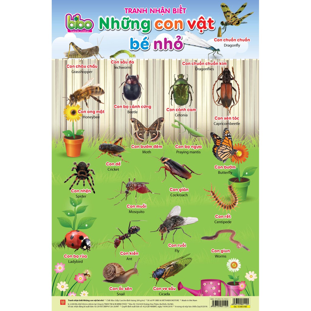 Bộ tranh nhận biết 12 chủ đề BIBO [Giá sỉ]