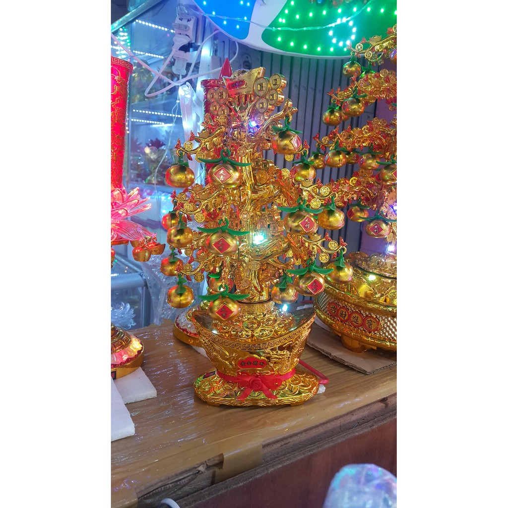 Cây Tắc Vàng có Led + xoay tròn