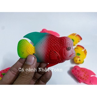 CÁ LA HÁN GIẢ LỚN LÀM CÁ KÈ CHO LA HÁN (MÀU NGẪU NHIÊN)