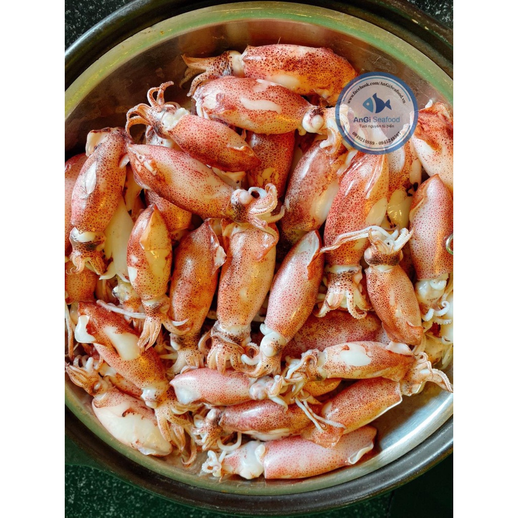 Mực sữa Phan Thiết tươi ngon 500g