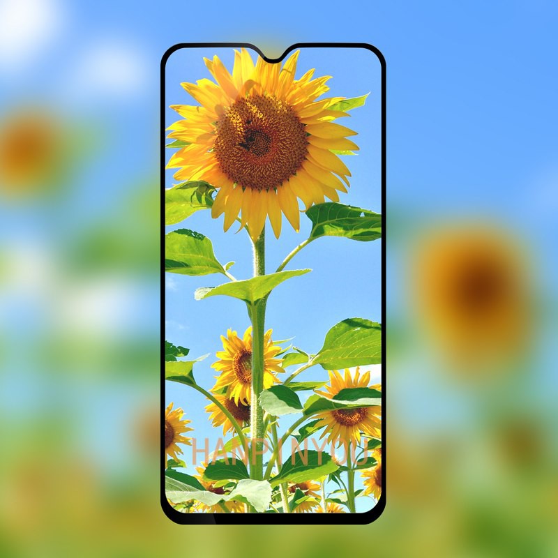 Kính Cường Lực OPPO R17 PRO FULL Màn, FULL KEO Silicon