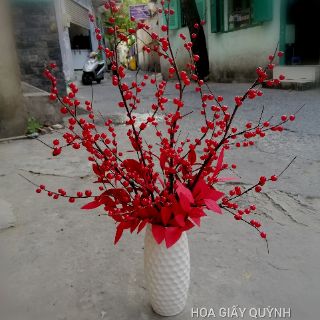 100gr HẠT ĐỎ - BÍ KÍP LÀM ĐÀO ĐÔNG ĐỎ