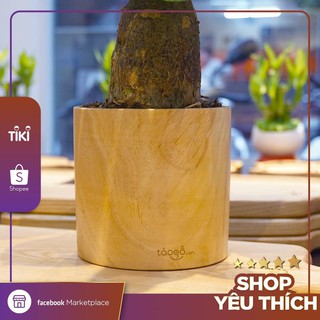 Chậu cây gỗ xà cừ