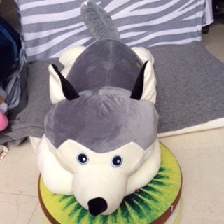 Gấu bông husky