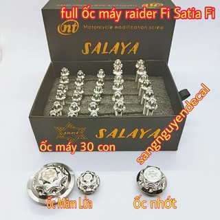 combo Full ốc lốc máy salaya raider satria fi 33 con