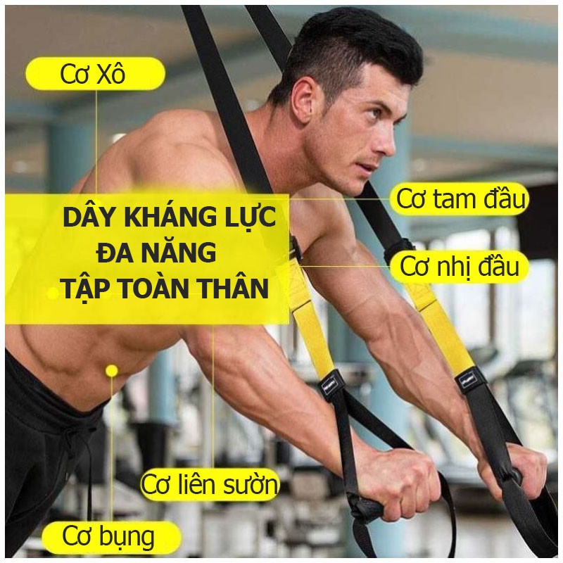 Dây kháng lực tập gym TRX P3, dây treo kháng lực đa năng tập Gym chính hãng TOPBODY-DTREO01